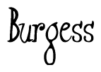 The image is of the word Burgess stylized in a cursive script.