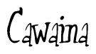 The image contains the word 'Cawaina' written in a cursive, stylized font.
