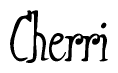 The image is of the word Cherri stylized in a cursive script.