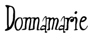 The image is a stylized text or script that reads 'Donnamarie' in a cursive or calligraphic font.