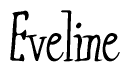 The image contains the word 'Eveline' written in a cursive, stylized font.