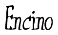 The image is a stylized text or script that reads 'Encino' in a cursive or calligraphic font.