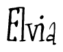 The image contains the word 'Elvia' written in a cursive, stylized font.