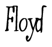The image is a stylized text or script that reads 'Floyd' in a cursive or calligraphic font.