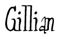 The image is of the word Gillian stylized in a cursive script.