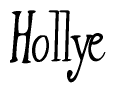 The image is of the word Hollye stylized in a cursive script.