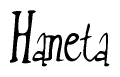 The image contains the word 'Haneta' written in a cursive, stylized font.
