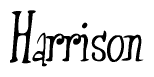 The image is of the word Harrison stylized in a cursive script.
