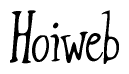The image contains the word 'Hoiweb' written in a cursive, stylized font.