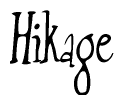 The image is of the word Hikage stylized in a cursive script.
