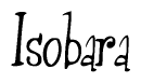 The image is a stylized text or script that reads 'Isobara' in a cursive or calligraphic font.