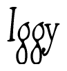 The image is of the word Iggy stylized in a cursive script.