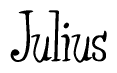 The image is a stylized text or script that reads 'Julius' in a cursive or calligraphic font.