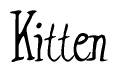 The image is a stylized text or script that reads 'Kitten' in a cursive or calligraphic font.