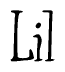 The image is of the word Lil stylized in a cursive script.