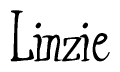 The image is a stylized text or script that reads 'Linzie' in a cursive or calligraphic font.