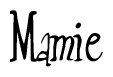 The image is of the word Mamie stylized in a cursive script.