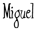The image is of the word Miguel stylized in a cursive script.