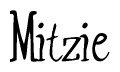 The image contains the word 'Mitzie' written in a cursive, stylized font.