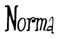 The image is of the word Norma stylized in a cursive script.