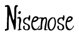 The image is of the word Nisenose stylized in a cursive script.