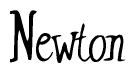The image is a stylized text or script that reads 'Newton' in a cursive or calligraphic font.