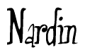 The image is of the word Nardin stylized in a cursive script.
