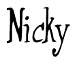 The image is of the word Nicky stylized in a cursive script.