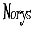 The image is of the word Norys stylized in a cursive script.