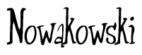 The image contains the word 'Nowakowski' written in a cursive, stylized font.