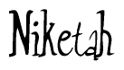The image is of the word Niketah stylized in a cursive script.