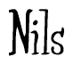 The image is of the word Nils stylized in a cursive script.