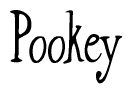 The image is a stylized text or script that reads 'Pookey' in a cursive or calligraphic font.