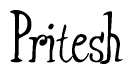 The image is of the word Pritesh stylized in a cursive script.