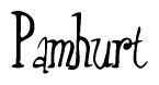 The image is a stylized text or script that reads 'Pamhurt' in a cursive or calligraphic font.