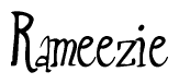 The image is of the word Rameezie stylized in a cursive script.