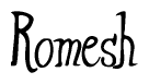 The image contains the word 'Romesh' written in a cursive, stylized font.