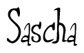 The image contains the word 'Sascha' written in a cursive, stylized font.