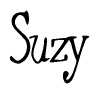 The image is a stylized text or script that reads 'Suzy' in a cursive or calligraphic font.