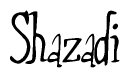 The image is of the word Shazadi stylized in a cursive script.