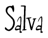The image contains the word 'Salva' written in a cursive, stylized font.