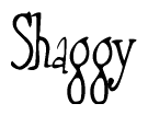 The image is of the word Shaggy stylized in a cursive script.