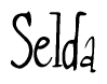 The image is of the word Selda stylized in a cursive script.