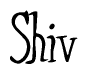 The image is of the word Shiv stylized in a cursive script.