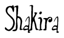 The image is of the word Shakira stylized in a cursive script.