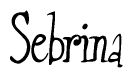 The image contains the word 'Sebrina' written in a cursive, stylized font.