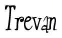 Trevan Calligraphy Text 