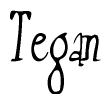 The image is of the word Tegan stylized in a cursive script.