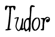 The image contains the word 'Tudor' written in a cursive, stylized font.