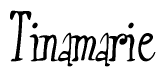 The image is a stylized text or script that reads 'Tinamarie' in a cursive or calligraphic font.